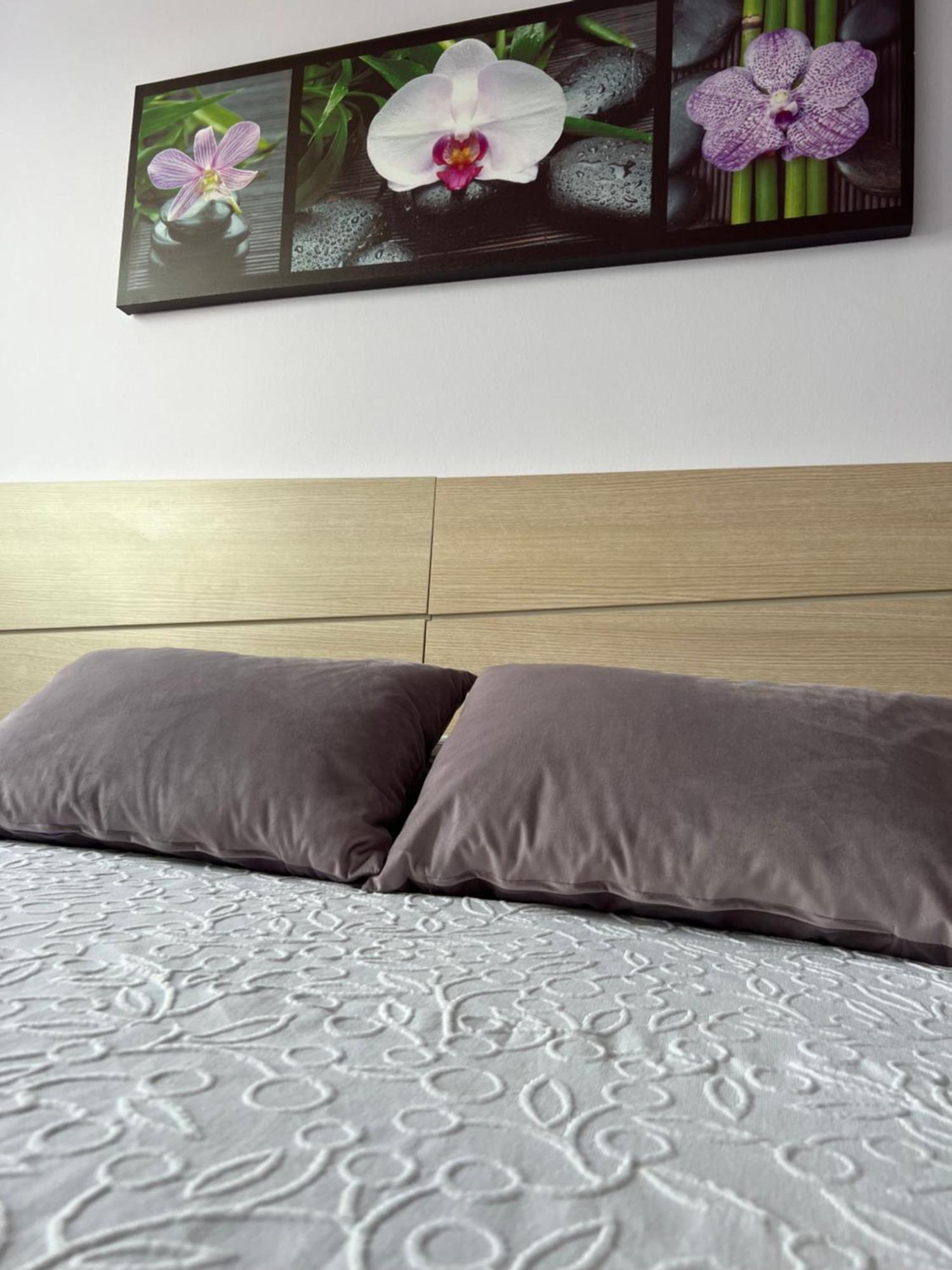 Marusia Apartamento Malpica Extérieur photo